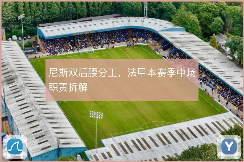 尼斯双后腰分工，法甲本赛季中场职责拆解