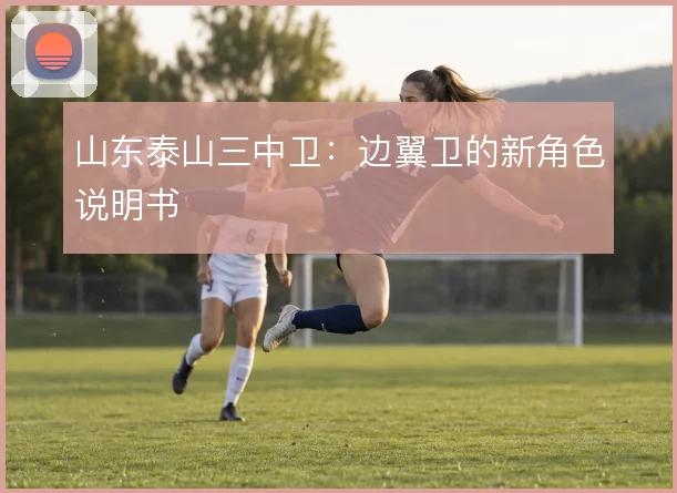 山东泰山三中卫:边翼卫的新角色说明书