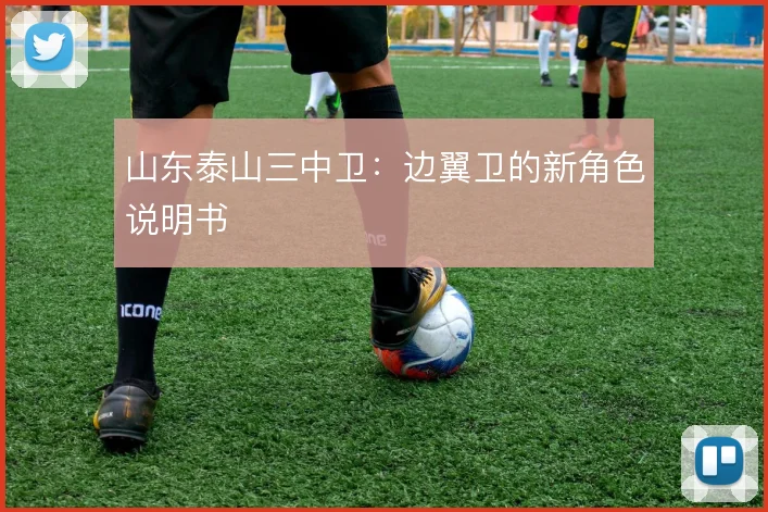 山东泰山三中卫:边翼卫的新角色说明书